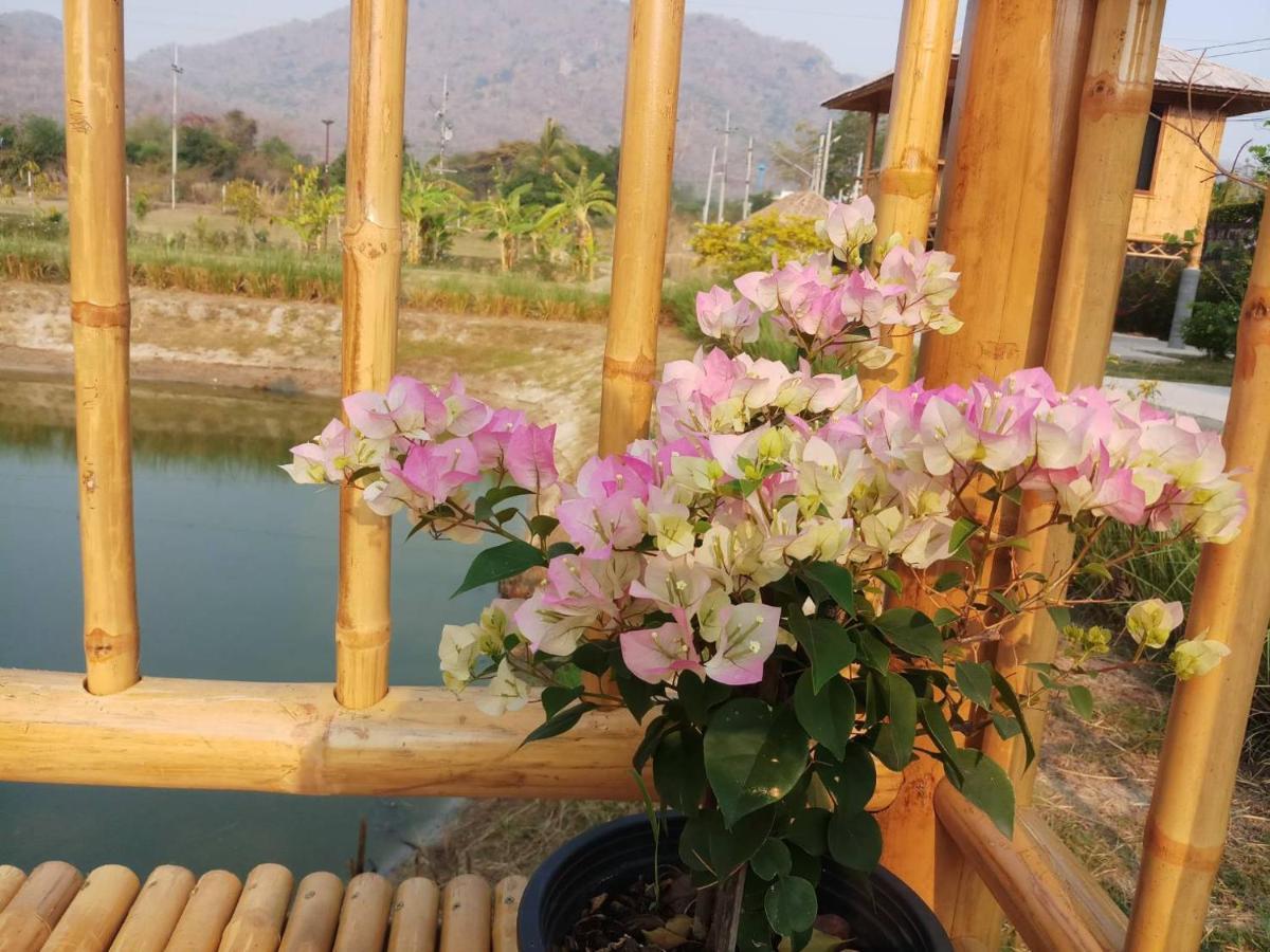 คูณ-เนื่อง ฟาร์ม สเตย์ หัวหิน Koon & Nueang Farm Stay Hua Hin Ban Bo Fai Exterior foto